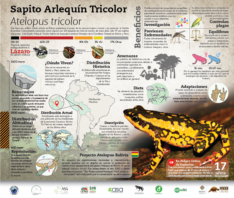 Atelopus project